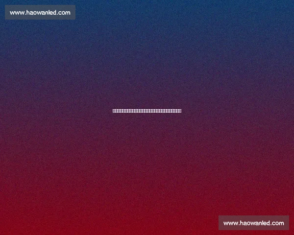 美式锋芒毕露！赵维伦书豪训练营集锦：技巧与蜕变的双重奏鸣