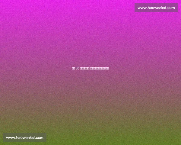 荷甲 50 球终圆橙衣梦 施泰恩续写荷兰中场进球传奇