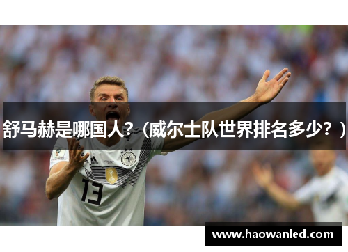 舒马赫是哪国人？(威尔士队世界排名多少？)